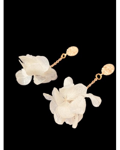 Noche de Ópera - Impronta