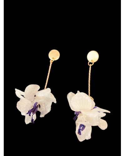 Rosa del desierto - Impronta