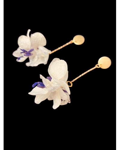 Rosa del desierto - Impronta