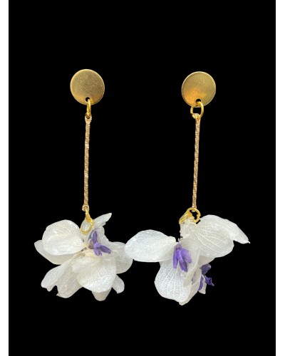 Rosa del desierto - Impronta