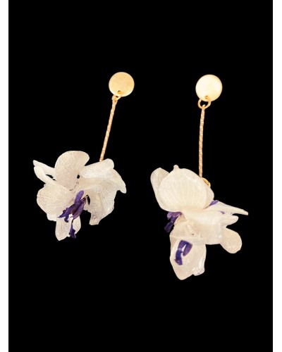 Rosa del desierto - Impronta