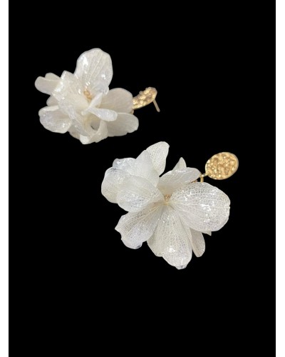 Aurora Boreal - Impronta