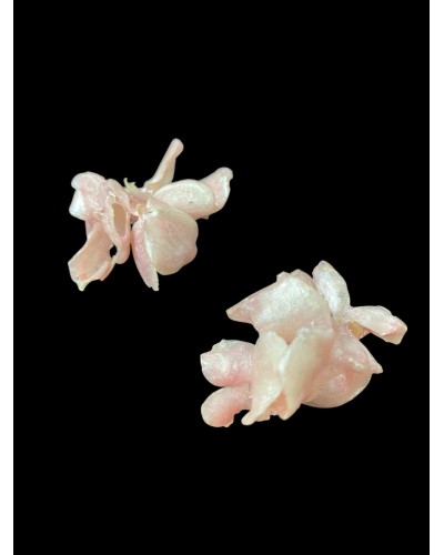 Aurora Rosa - Impronta