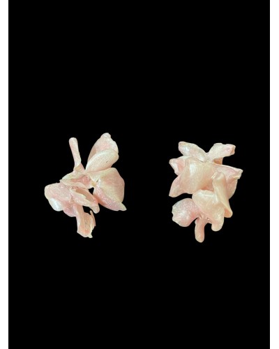 Aurora Rosa - Impronta